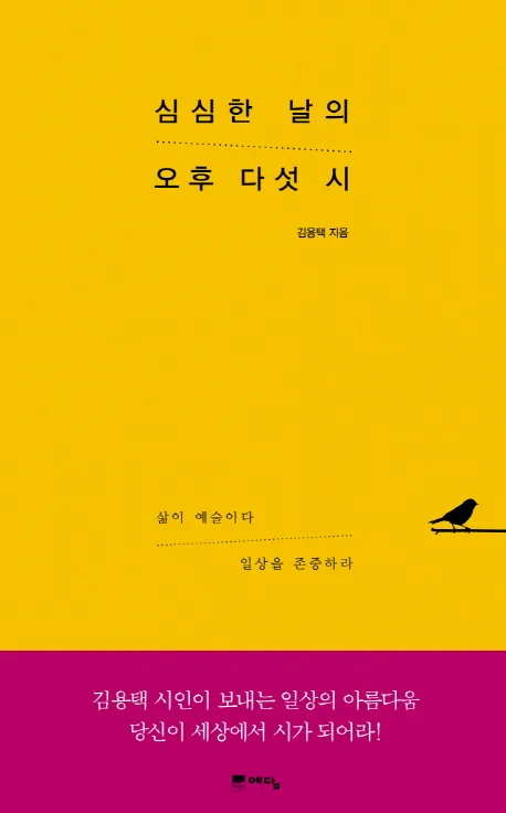 심심한 날의 오후 다섯 시 표지