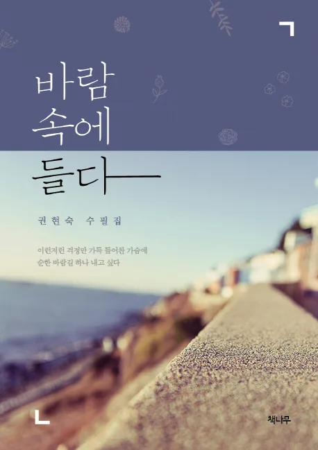 바람 속에 들다 표지