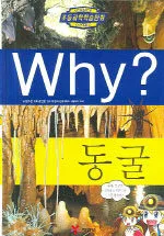 (Why?) 동굴 표지