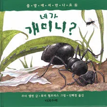 네가 개미니? 표지