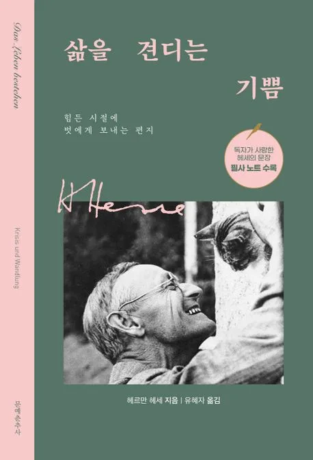 삶을 견디는 기쁨 : 힘든 시절에 벗에게 보내는 편지 표지