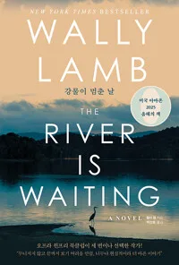 강물이 멈춘 날 : THE RIVER IS WAITING 표지