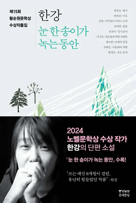 눈 한송이가 녹는 동안 표지