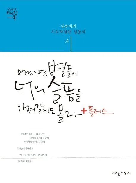 어쩌면 별들이 너의 슬픔을 가져갈지도 몰라+플러스 표지