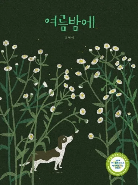 여름밤에 표지