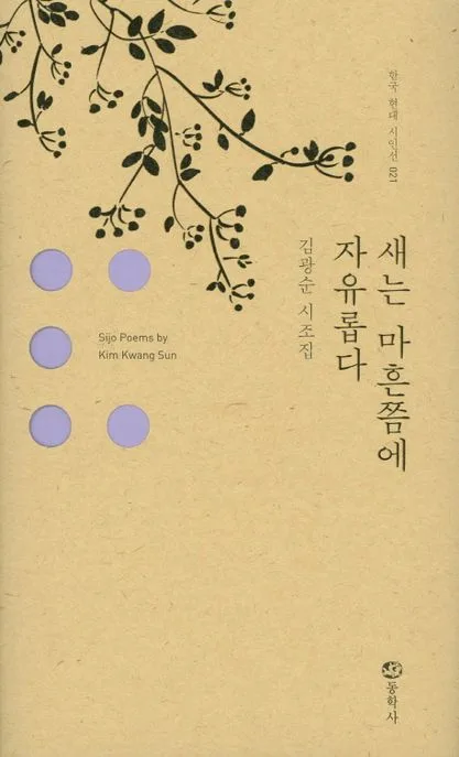 새는 마흔쯤에 자유롭다 표지