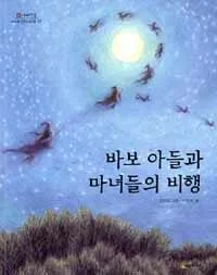 바보 아들과 마녀들의 비행 표지