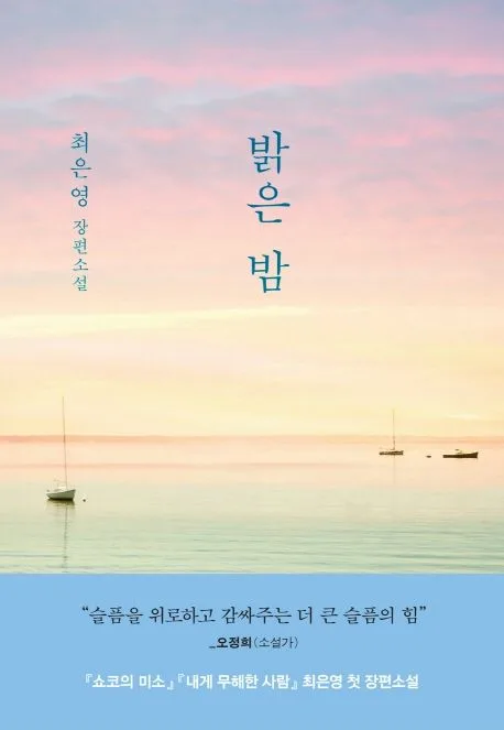 밝은 밤 : 최은영 장편소설 표지