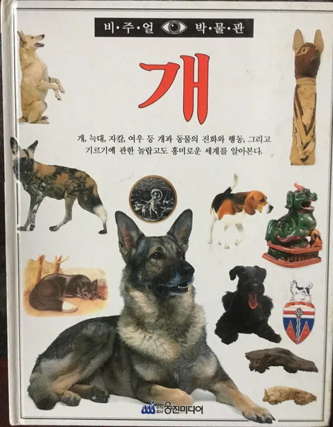개과 동물 표지