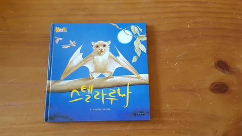 스텔라루나 표지