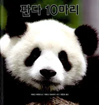 판다10마리 표지
