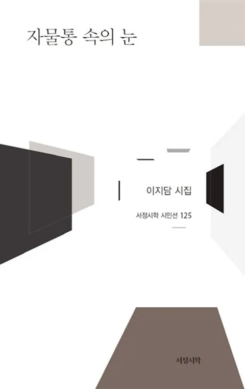 자물통 속의 눈 표지