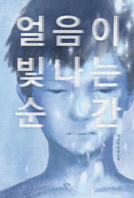 얼음이 빛나는 순간 : 이금이 장편소설 표지