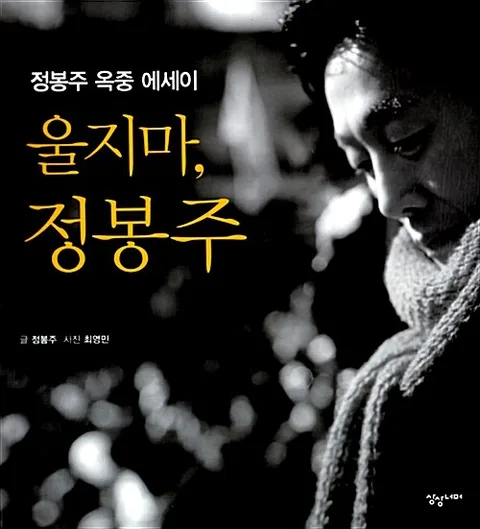 울지마, 정봉주 : 정봉주 옥중 에세이 표지