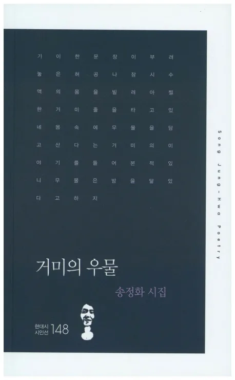 거미의 우물 표지