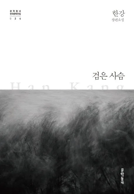 검은 사슴 : 한강 장편소설 표지
