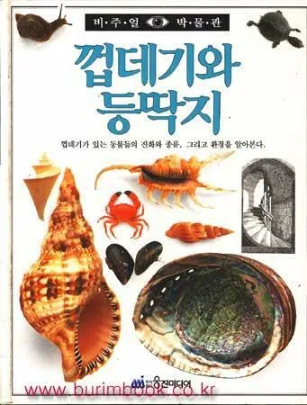 껍데기와 등딱지 표지
