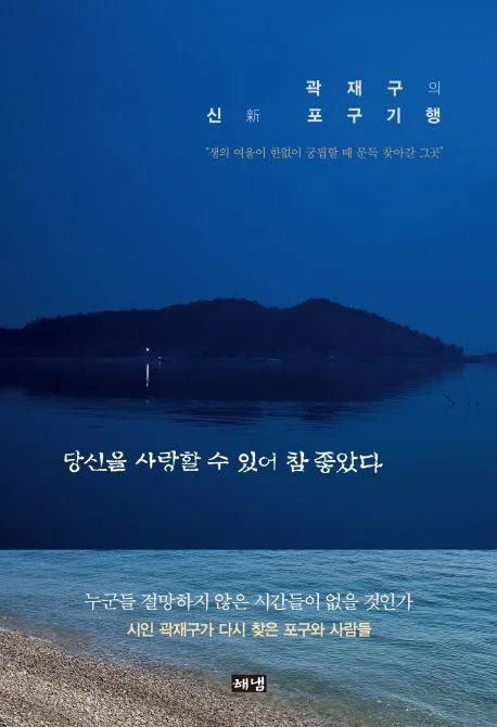 당신을 사랑할 수 있어 참 좋았다 : 곽재구의 신 포구기행 표지