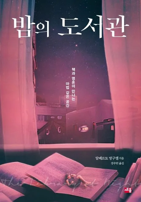 밤의 도서관 : 책과 영혼이 만나는 마법 같은 공간 표지