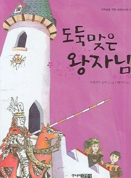 도둑맞은 왕자님 표지