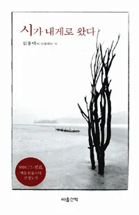 시가 내게로 왔다 표지