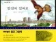 밤섬이 있어요 표지