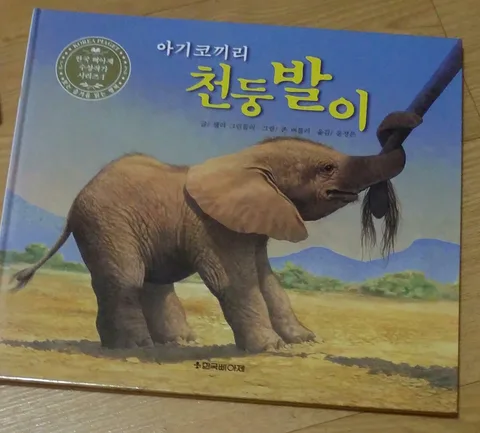 아기코끼리 천둥발이 표지