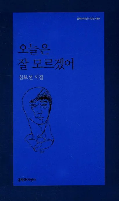 오늘은 잘 모르겠어 : 심보선 시집 표지