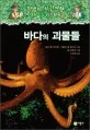 마법의 시간여행 지식탐험 표지