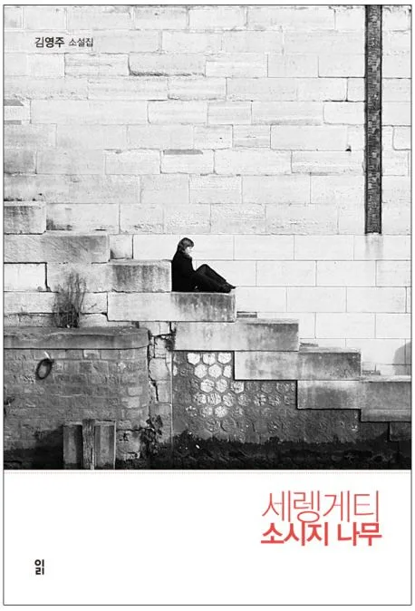 세렝게티 소시지 나무 : 김영주 소설집 표지