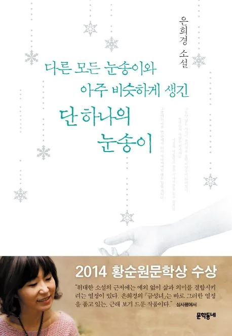 다른 모든 눈송이와 아주 비슷하게 생긴 단 하나의 눈송이 : 은희경 소설 표지
