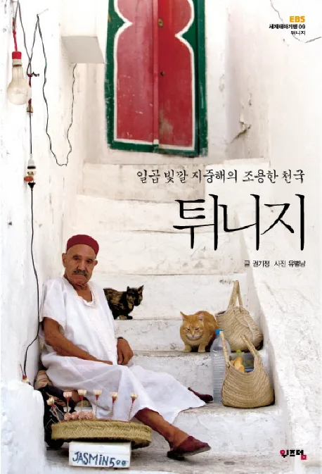 튀니지 표지