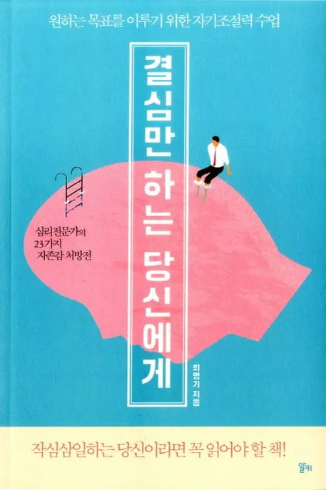 결심만 하는 당신에게 : 원하는 목표를 이루기 위한 자기조절력 수업 표지