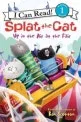 Splat the cat : up in the air at the fair 표지