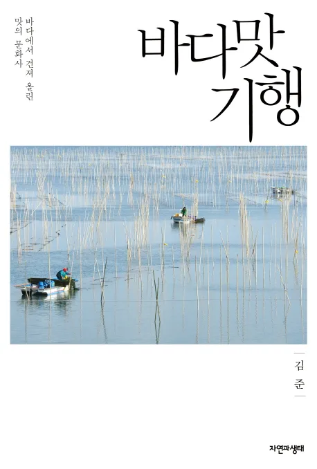바다맛 기행 : 바다에서 건져 올린 맛의 문화사 표지