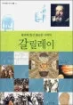 갈릴레이 표지