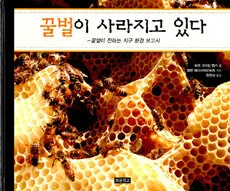 꿀벌이 사라지고 있다 표지