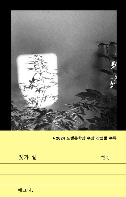 빛과 실 표지