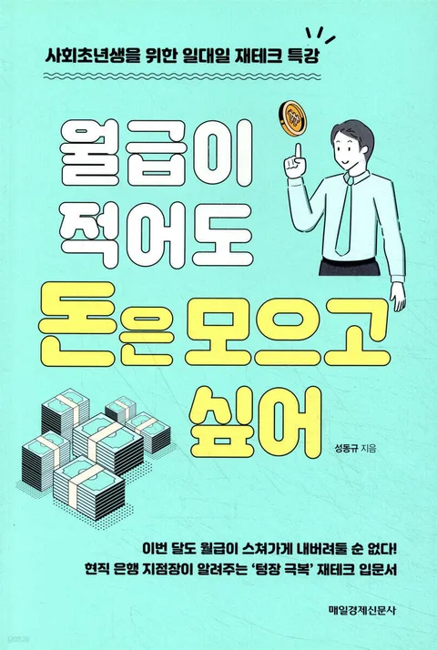 월급이 적어도 돈은 모으고 싶어 : 사회초년생을 위한 일대일 재테크 특강 표지