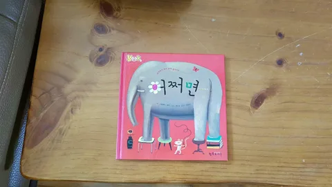 어쩌면 표지