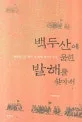 백두산에 묻힌 발해를 찾아서 표지