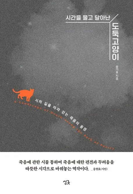 (시간을 물고 달아난) 도둑고양이 : 시의 길을 따라 걷는 죽음의 풍경 표지