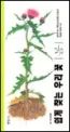 쉽게 찾는 우리 꽃 표지
