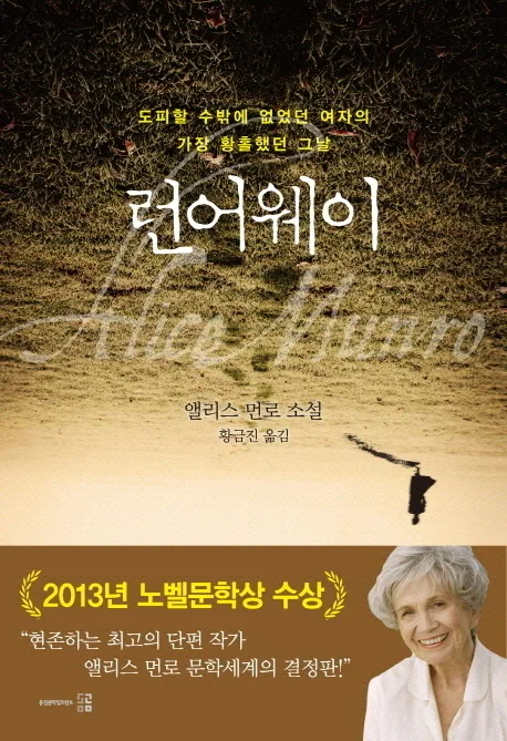 런어웨이 : 앨리스 먼로 소설 : 도피할 수밖에 없었던 여자의 가장 황홀했던 그날 표지