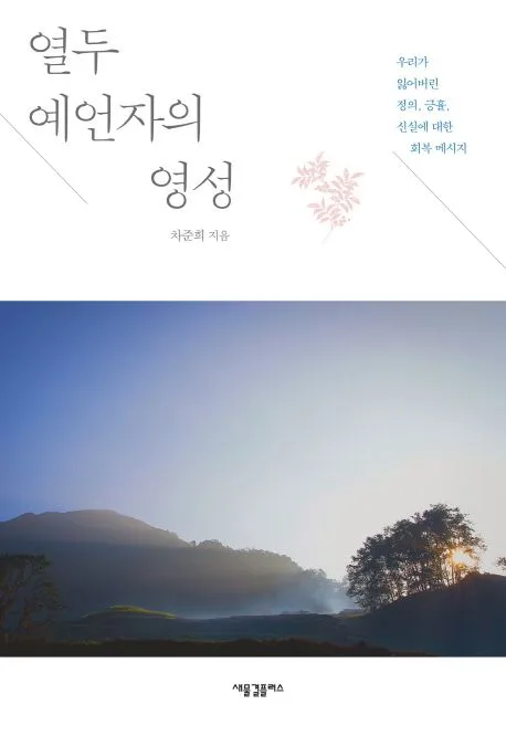 열두 예언자의 영성 : 우리가 잃어버린 정의, 긍휼, 신실에 대한 회복 메시지 표지