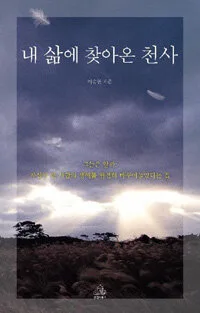 낸 살메 찾아온 천사 표지