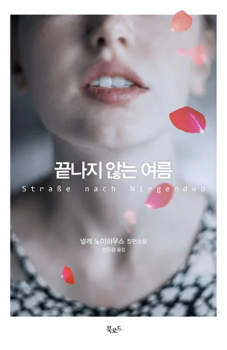 끝나지 않는 여름 : 넬레 노이하우스 장편소설 표지