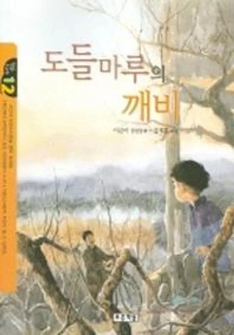 도들마루의 깨비 표지