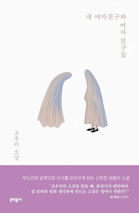 내 여자친구와 여자 친구들 : 조우리 소설 표지