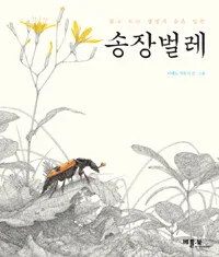 송장벌레:돌고 도는 생명의 숨은 일꾼 표지